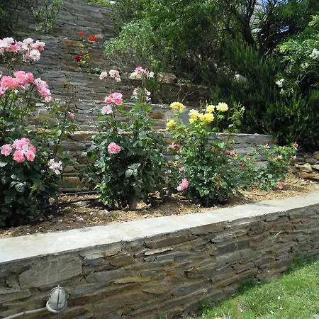 Blue Dolphin Penzion