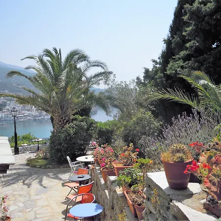 Blue Dolphin Penzion 4*