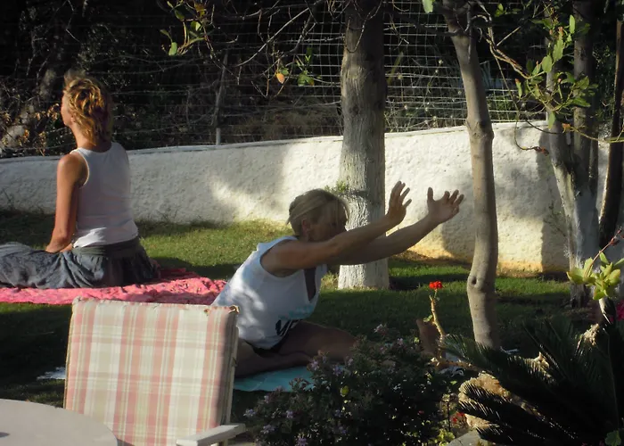 Blue Dolphin Guest house Batsi (Andros)