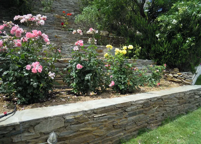 Blue Dolphin Guest house