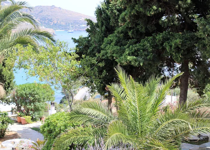 Blue Dolphin Guest house