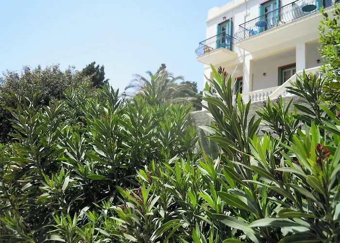 Blue Dolphin Guest house