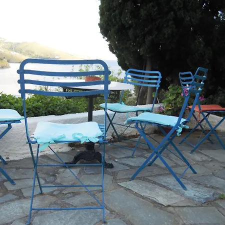 Πανσιόν Blue Dolphin Μπατσί