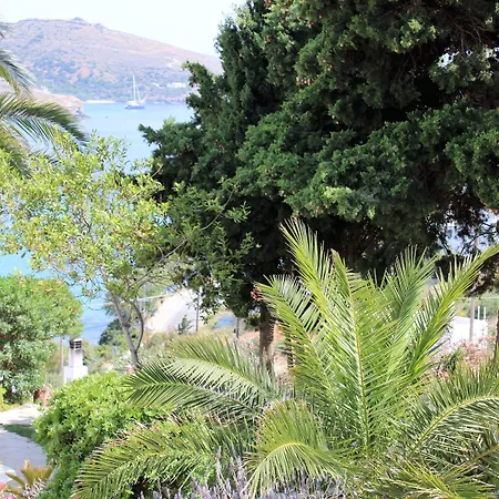 Blue Dolphin Pensión