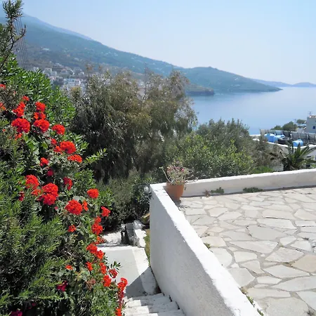 Blue Dolphin 4* Μπατσί