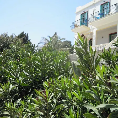 Blue Dolphin Pensión